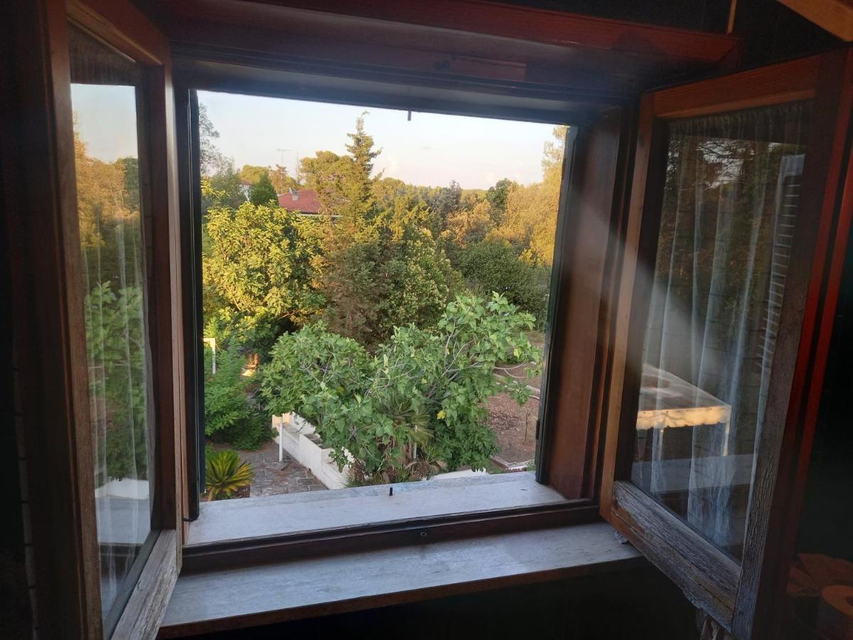 Citta Di Bed & Breakfast